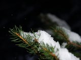 Wintermotiv