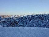 Wintermotiv
